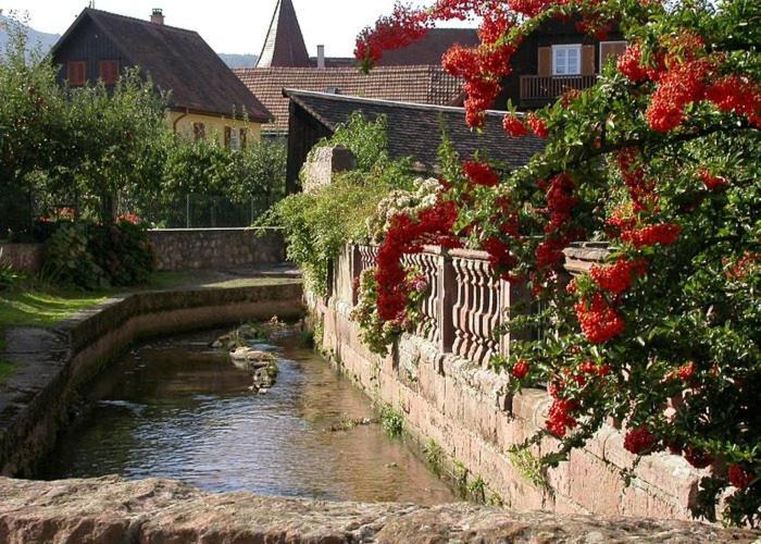 Gite Chez "Mamie Schlop" Kientzheim Rom bilde